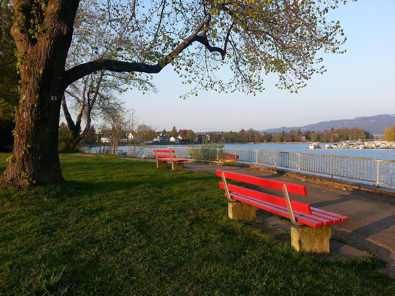 入了新的活 入了新的活