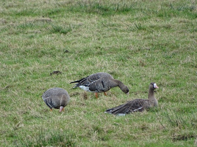 还需要运动 还需要运动