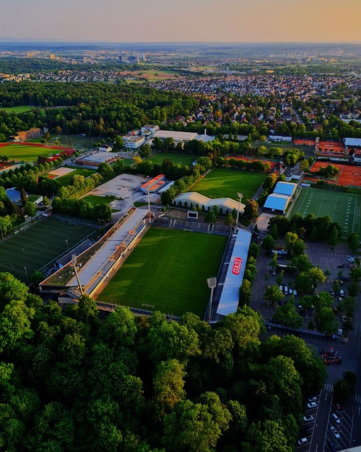 以及年轻球 以及年轻球