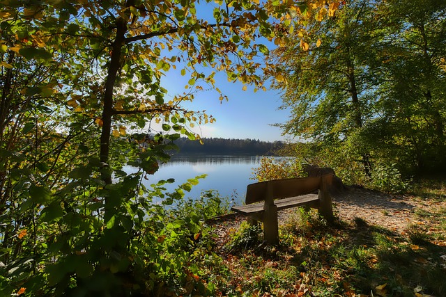 中超2024优秀社会责任俱乐部：浙江、申花、蓉城、国安&泰山.